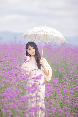 麻生希番号大全